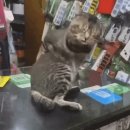 그루밍 봄 이미지