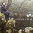 숲속의 작은집 이미지