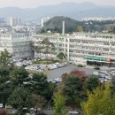 대구광역시청 별관 이미지