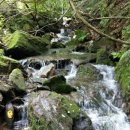 청풍농장 이미지