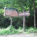 상관편백숲 쉼터 네이버블로그