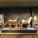 국립김해박물관 이미지