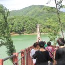 생연칼국수 삼계탕 이미지