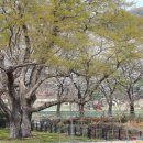 한정보건진료소 이미지