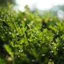 호미골체육공원 이미지