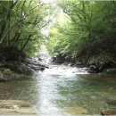 꿈에365모텔 이미지