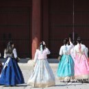 사단법인 한국다도협회 이미지
