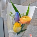 라프리마베라:봄이오다 - 성동구 왕십리광장로 17 | 라프리마베라:봄이오다