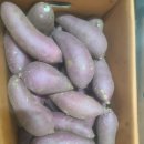 가정1-02-010 이미지