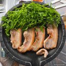 푸른농원 | 원동매화축제] 미나리+오겹살+군고구마 미나리농장 직접운영 ☆늘푸른청정미나리농원☆ 먹고 택배 후기까지