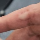 다복장 여관 이미지