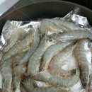 팔딱팔딱 이미지