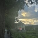 마이포레스트 | 화순카페, 화순신상카페, 마이시티유어포레스트 내돈내산후기