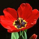 나눔오일모터스 이미지