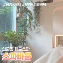 바움뷰티 | 지친 일상에 힐링 한 스푼 부천 신중동 헤드스파 스파바움 후기