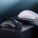 토리캣 스튜디오 이미지