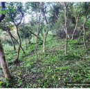 농원농산 이미지