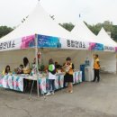 서동굼벵이 네이버블로그