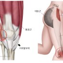 튼튼한의원 이미지