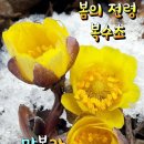 위험한 드라이브~ 이미지