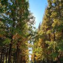 현화근린 이미지