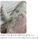 또또살롱 이미지