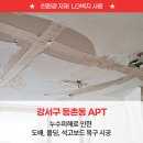 강서구-34 이미지