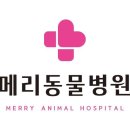 메리 동물병원 이미지