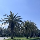 해비치호텔앤리조트 이미지