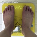 54 | 마운자로 5mg 가격 처방 후기 54일차 -13.7kg