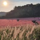 대죽서로 이미지