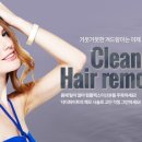 닥터화이트