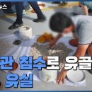 효다함
