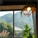 미르빌힐링타운 이미지