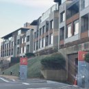 메이플비치 골프&리조트 | 강릉 가성비 오션뷰 숙소 #메이플비치골프앤리조트 디럭스 자쿠지 주말 후기