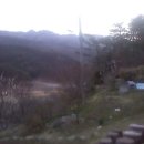 백아산 토종 이미지