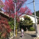 몽땅꾸이꾸이 이미지