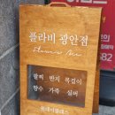 오션클래스 | 흔한 거 말고 나만의 써지컬 팔찌만들 수 있는 오션뷰 플라비 원데이클래스 솔직 후기