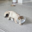 125-금촌2-125 이미지