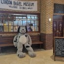 푸근푸근 | 나는 아무것도 달라진 게 없어 [11,12월 일상]