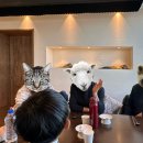 숲실의 집 이미지