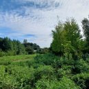 광암농장 이미지