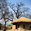 월산주막 이미지