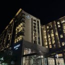 푸른 둥지 | 제천 리솜 레스트리 G40 객실 리뷰, S30 케어룸과 비교, 솔티맥주·둥지치킨