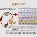 팜라이프 이미지