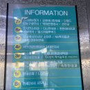 롯데화인약국 이미지