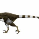 공룡pc방 이미지