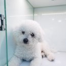 원미지구대 이미지