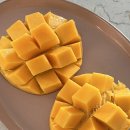 신안댁