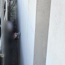 유로폼디자인